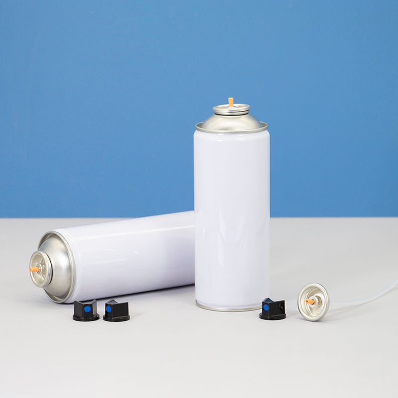 Empty Paint aerosol can