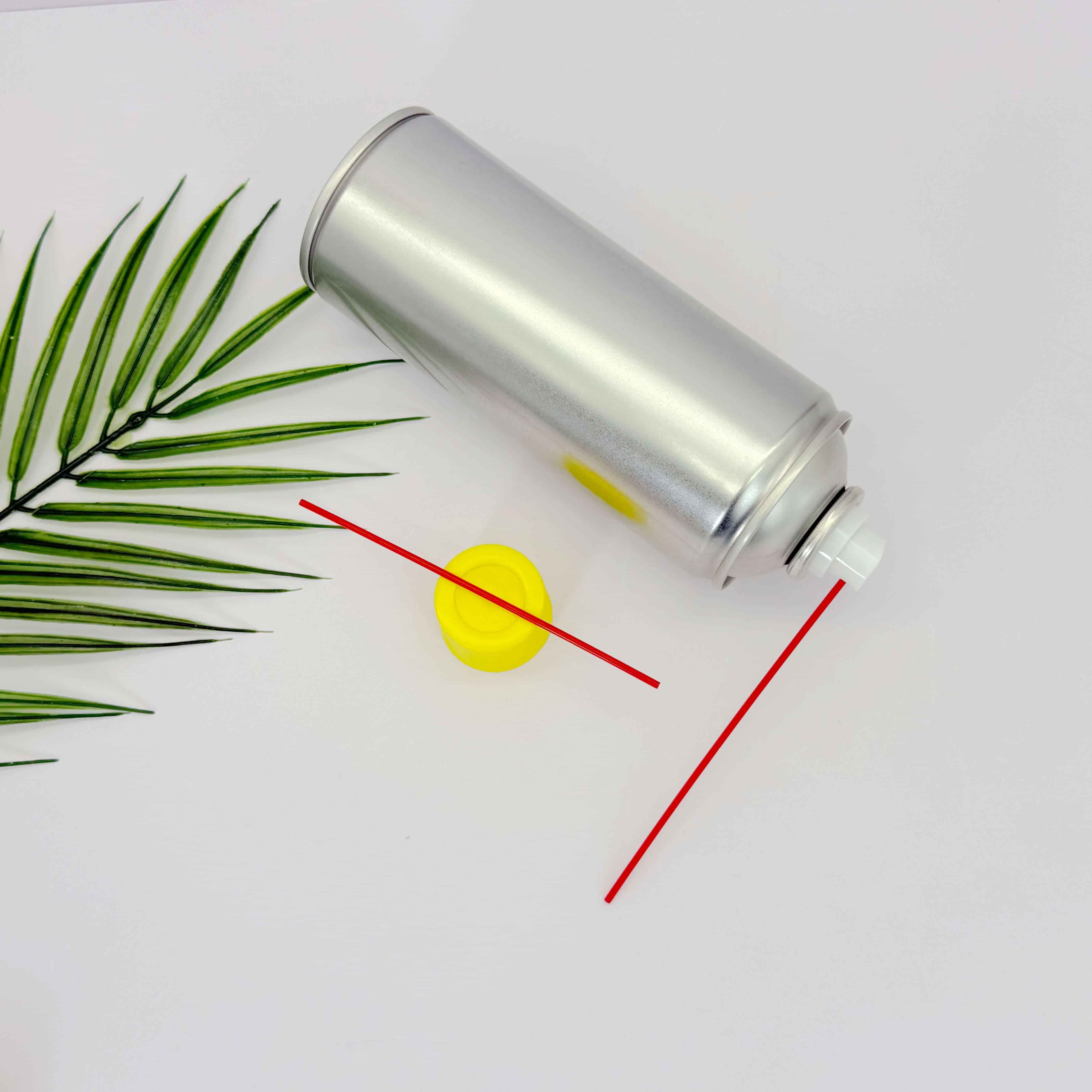 Auto beauty spray can